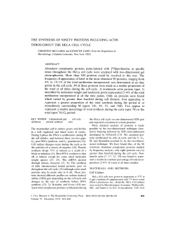 Cell Culture - BioMedSearch