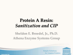 Protein A Resin