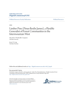 Limber Pine - DigitalCommons@USU
