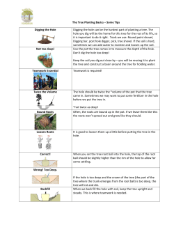 The Tree Planting Basics &ndash; Some Tips Digging the Hole Digging the