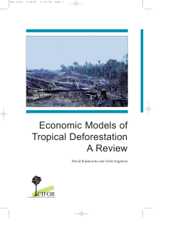 Economic models of tropical deforestation: a review