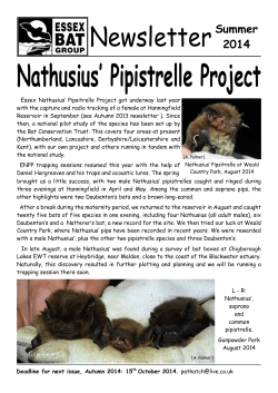 essex bat group newsletter 2014 summer