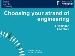 Choosing your strand of engineering