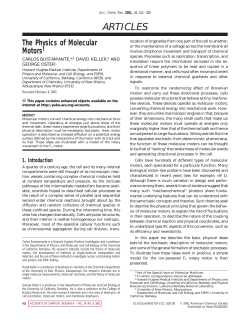 The Physics of Molecular Motors
