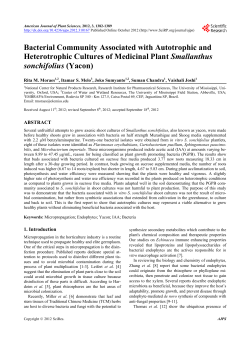 Bacterial Community Associated with Autotrophic and Heterotrophic