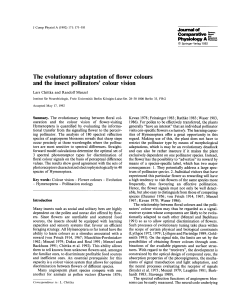 The evolutionary adaptation of flower colours and the