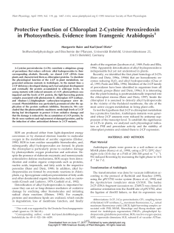 Protective Function of Chloroplast 2-Cysteine