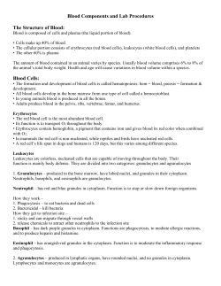 Blood Cells - Prosper ISD