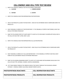 cell energy and cell type test review