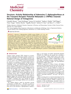 Structure&ndash;Activity Relationship of Adenosine 5&prime;