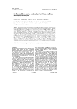 Ethylene modulates genetic, positional, and nutritional regulation of