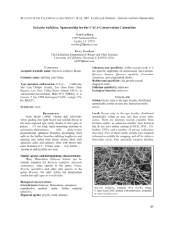 Sulcaria isidiifera - The California Lichen Society