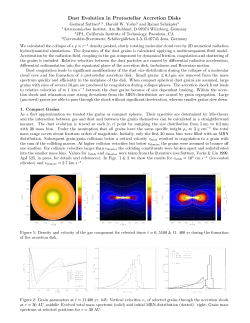 Dust Evolution in Protostellar Accretion Disks