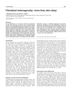 Fibroblast heterogeneity: more than skin deep
