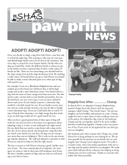 Summer 2013 - Safe Haven Animal Sanctuary