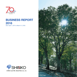 Business Report - Year