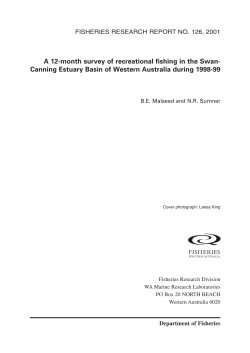A 12-month survey of recreational fishing in the Swan