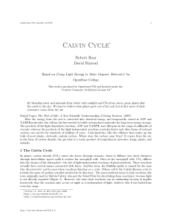 Calvin Cycle - OpenStax CNX