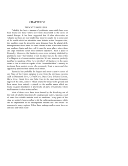 CHAPTER VI