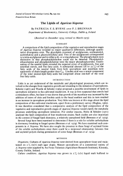 The Lipids of Agaricus bisporus
