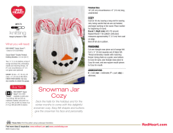 Snowman Jar Cozy