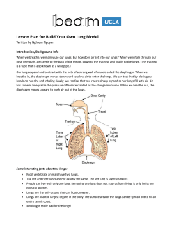 Lesson Plan for Build Your Own Lung Model