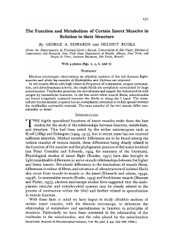 The Function and Metabolism of Certain Insect Muscles in Relation