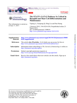 Maintenance Basophil and Mast Cell Differentiation and GATA2