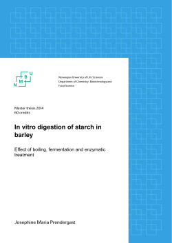 In vitro digestion of starch in barley