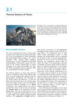 Thermal Balance of Plants