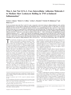 Mac-1, but Not LFA-1, Uses Intercellular Adhesion Molecule