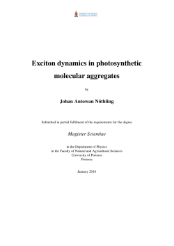 Exciton dynamics in photosynthetic molecular aggregates