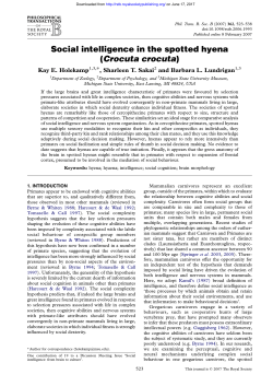 Social intelligence in the spotted hyena