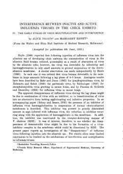 interference between inactve and active influenza viruses in