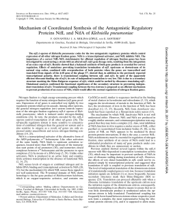 Mechanism of Coordinated Synthesis of the Antagonistic Regulatory