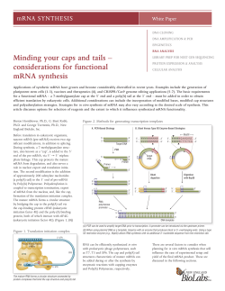 Minding your caps and tails &ndash; considerations for functional mRNA