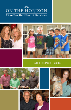 gift report 2013