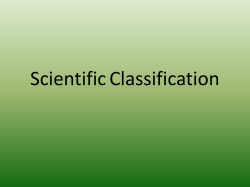 Scientific Classification Notes to go with Student Notes