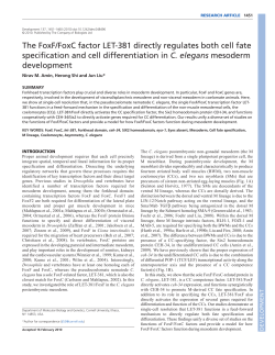 The FoxF/FoxC factor LET-381 directly regulates both cell fate