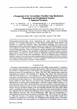 A Reappraisal of the Terverticillate Penicillia Using