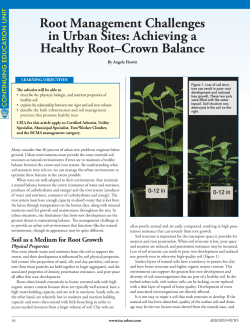Root Management Challenges in Urban Sites: Achieving a Healthy