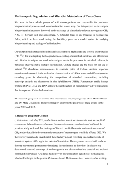 Methanogenic Degradation and Microbial Metabolism of Trace Gases