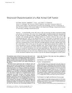 Structural Characterization of a Rat Acinar Cell Tumor