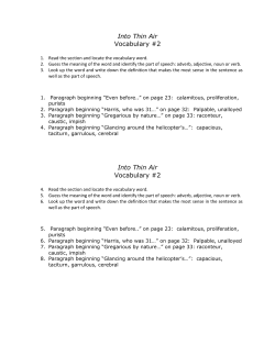 Into Thin Air Vocabulary #2 Into Thin Air Vocabulary #2