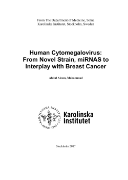 Thesis - KI Open Archive