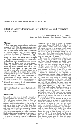 Effect of canopy structur and light intensity on seed production in