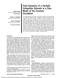 Fluid Dynamics of a Partially Collapsible Stenosis in a Flow Model of