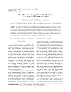 Effect of Farm Size on Energy Ratio for Wheat Production