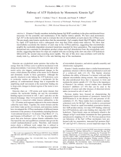 Pathway of ATP Hydrolysis by Monomeric Kinesin Eg5