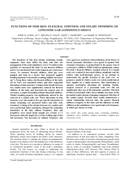 functions of fish skin - Journal of Experimental Biology